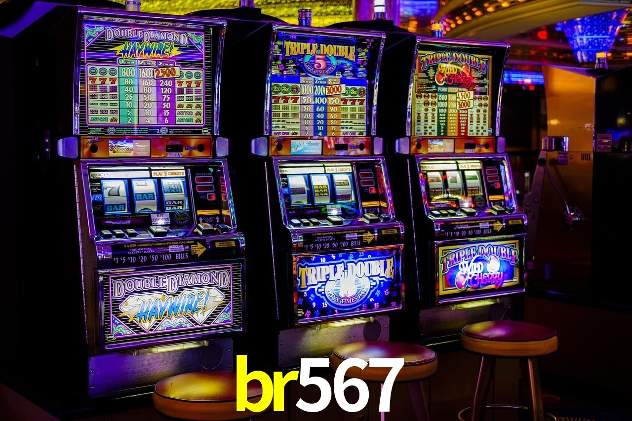 Programa VIP br567